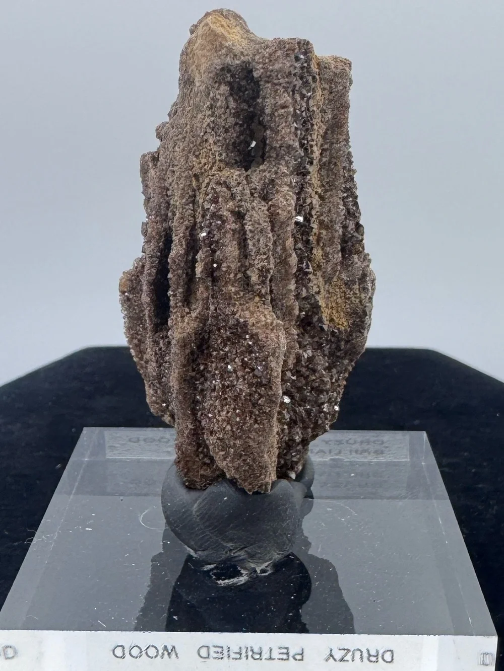 Druzy Petrified Wood Display Piece - Brilliant Alabama
